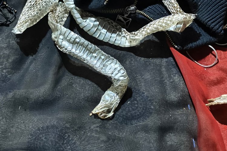 पुलिस जांच में खुला फिल्मी ड्रामे का राज़