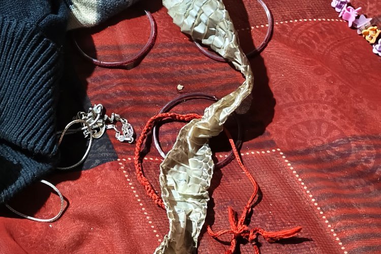 सुबह कमरे में दिखा अजीब नज़ारा, गांव में फैली सनसनी